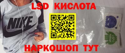 прущие грибы Краснодар