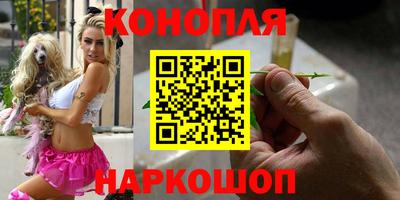 прущие грибы Краснодар