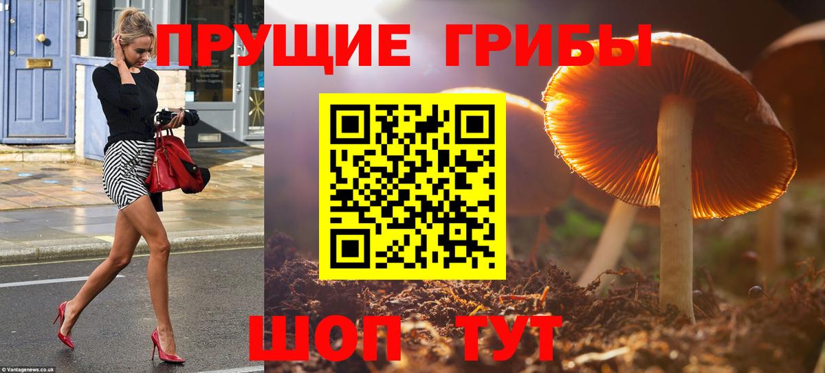 Галлюциногенные грибы MAGIC MUSHROOMS  Вход с VPN  Ярцево  Галлюциногенные грибы MAGIC MUSHROOMS 