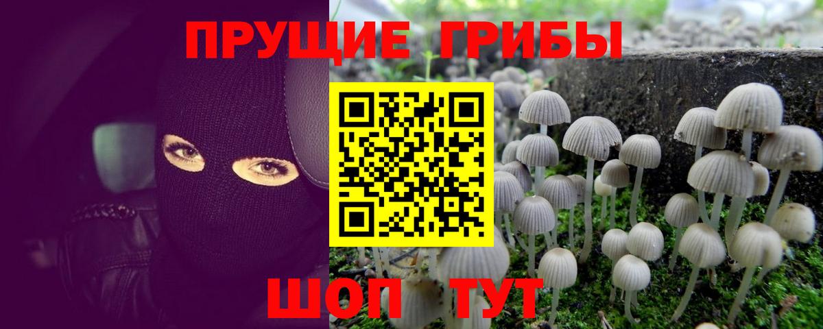 Галлюциногенные грибы Magic Shrooms Ярцево